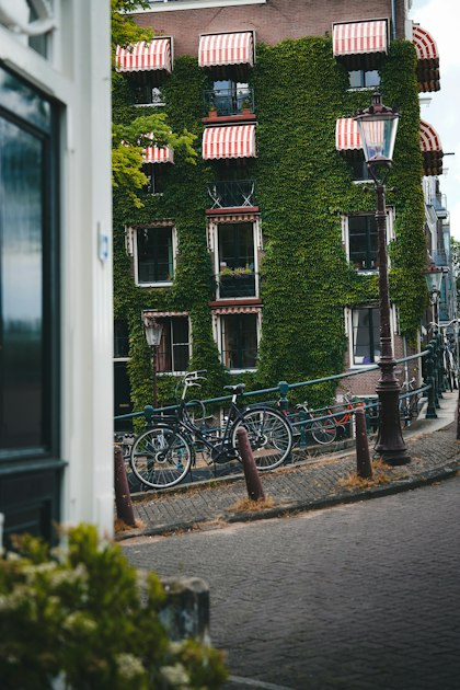 Amstel’s Global Impact